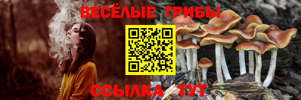 Псилоцибиновые грибы MAGIC MUSHROOMS  Вход с VPN  Янаул  Псилоцибиновые грибы мицелий 